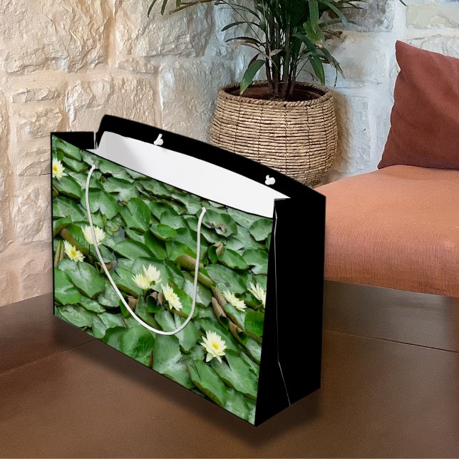 Vatten Lillies (Skapare uppladdad)