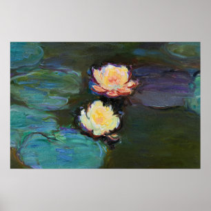 Vatten Lillies botaniska målning Poster