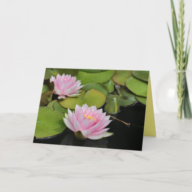 Vatten Lillies Kort (Framsida)