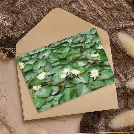 Vatten Lillies Kort