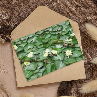 Vatten Lillies Kort