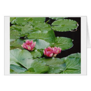 Vatten Lillies, Monet's House, Giverny, Frankrike Hälsningskort