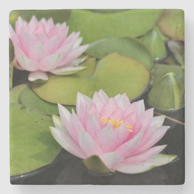 Vatten Lillies Stenunderlägg (Framsidan)