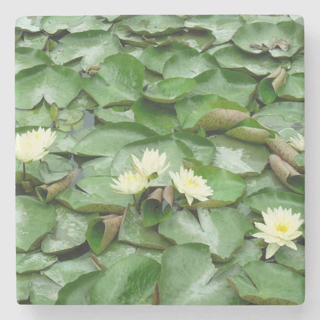 Vatten Lillies Stenunderlägg (Framsidan)