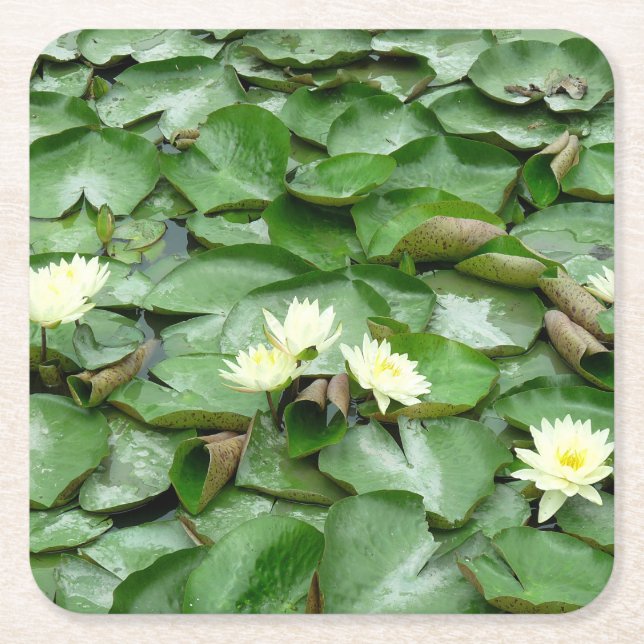 Vatten Lillies Underlägg Papper Kvadrat (Framsidan)