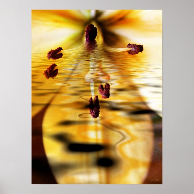 Vatten Lillium Skriv ut Poster (Framsidan)