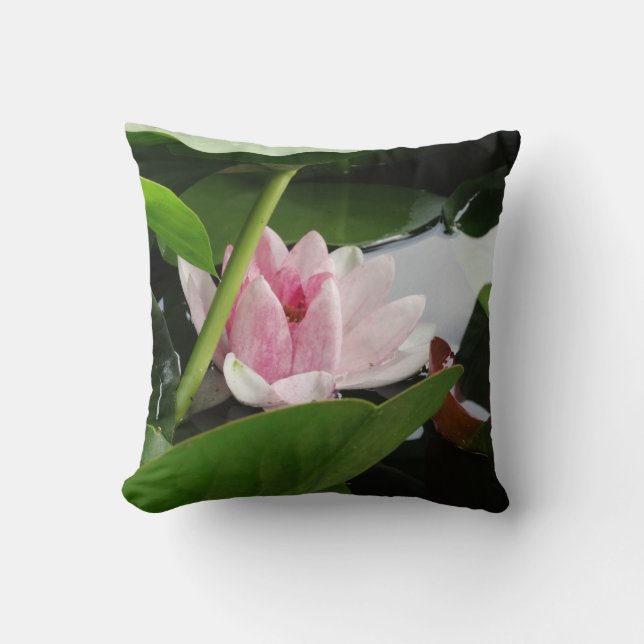 Vatten Lilly Cushion, Awaken Kudde (Framsida)