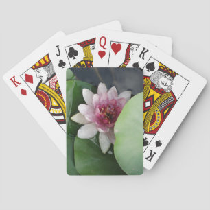 Vatten Lilly, Lotus Photo Classic-spelkort Casinokort