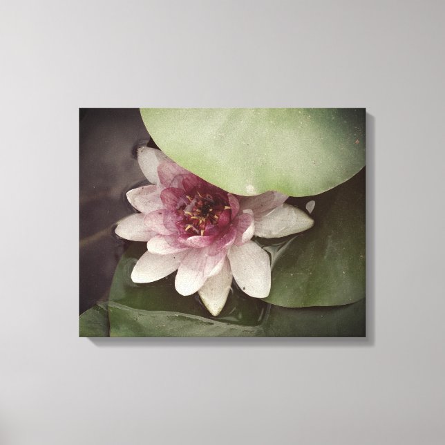 Vatten Lilly, Lotus Photography Wall Art Canvastryck (Framsida)