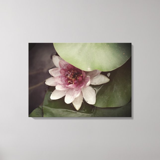 Vatten Lilly, Lotus Photography Wall Art Canvastryck (Framsida)