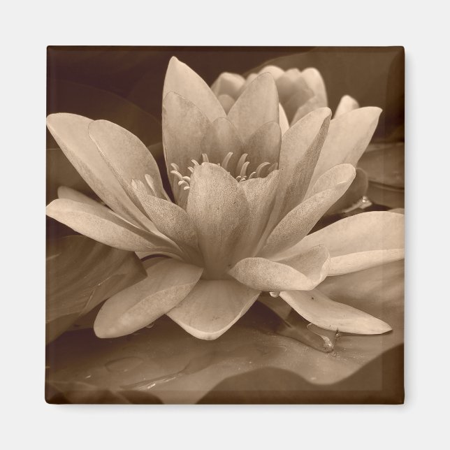 Vatten Lilly Magnet (Framsidan)