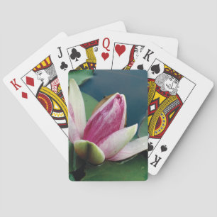 Vatten Lilly Pay Cards Lotus Kortlek