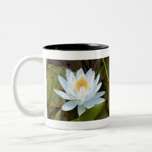 Vatten Lilly Två-Tonad Mugg