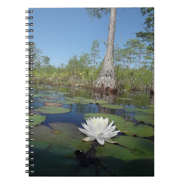 Vatten Lily 2 Anteckningsbok (Framsidan)