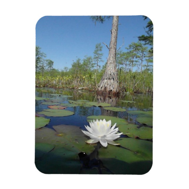 Vatten Lily 2 Magnet (Vertikal)