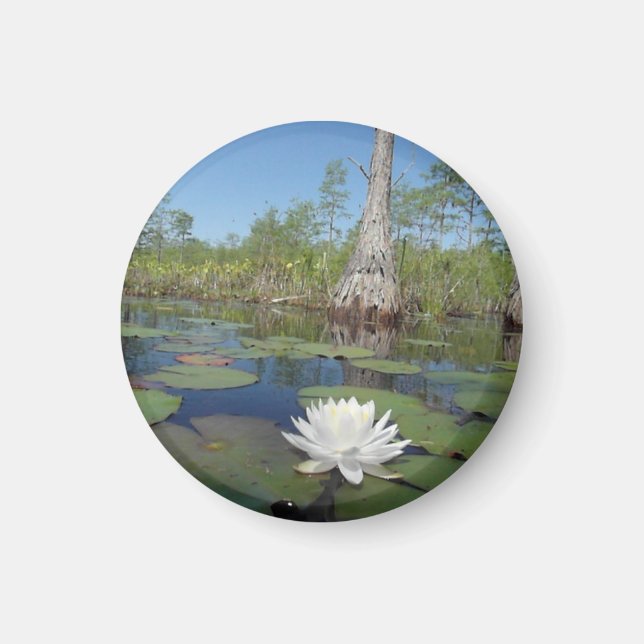 Vatten Lily 2 Magnet (Framsidan)