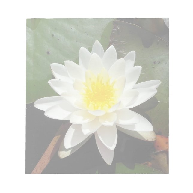 Vatten Lily Anteckningsblock (Framsida)