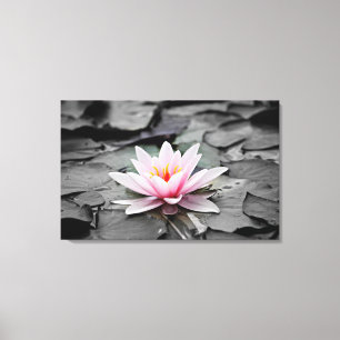 Vatten Lily Aquatic Plant Stretched Kanvastryck
