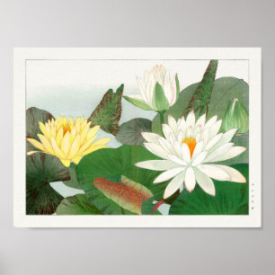 Vatten lily av Tanigami Konan Poster