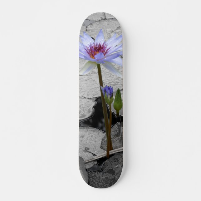 Vatten Lily Beauty Old School Skateboard Bräda 18 Cm (Framsida)