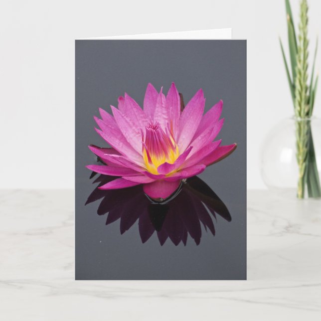 Vatten Lily Birthday Card Kort (Framsida)