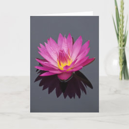 Vatten Lily Birthday Card Kort
