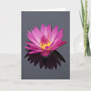 Vatten Lily Birthday Card Kort