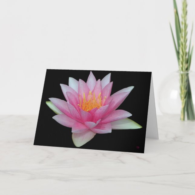 Vatten Lily Blank Greeting Cards Kort (Framsida)
