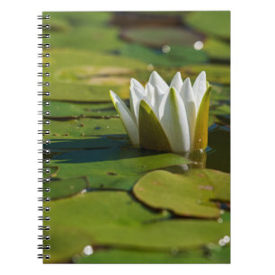 Vatten Lily Blommar Anteckningsbok