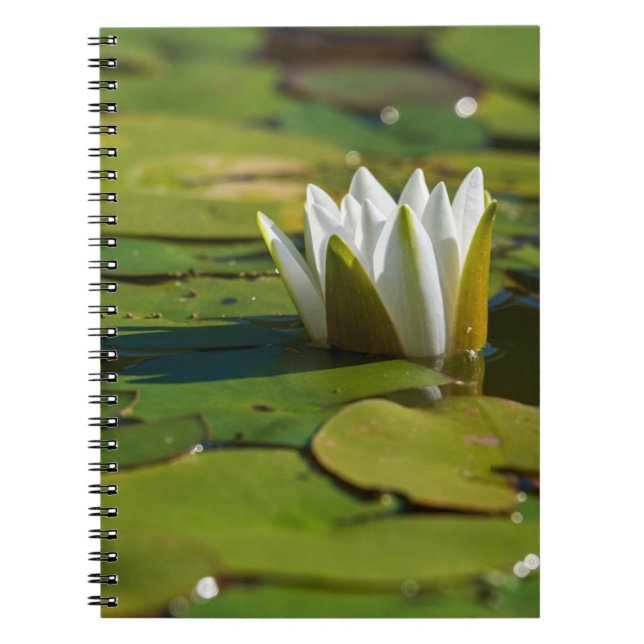 Vatten Lily Blommar Anteckningsbok (Framsidan)