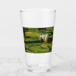 Vatten Lily Blommar Glaskopp