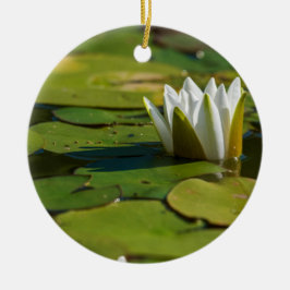 Vatten Lily Blommar Julgransprydnad Keramik