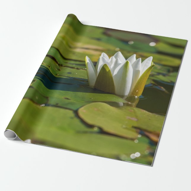 Vatten Lily Blommar Presentpapper (Utrullad)