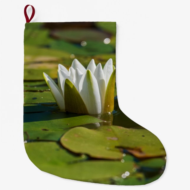 Vatten Lily Blommar Stor Julstrumpa (Framsidan)