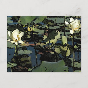 Vatten Lily Blommars Vykort