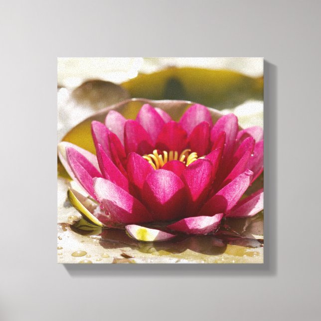 Vatten lily canvastryck (Framsida)