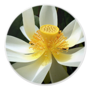 Vatten Lily Ceramic Knob Knopp