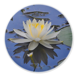 Vatten Lily Ceramic Knob Knopp