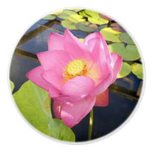Vatten Lily Ceramic Knob Knopp