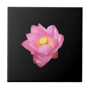 Vatten Lily Ceramic Tile Kakelplatta