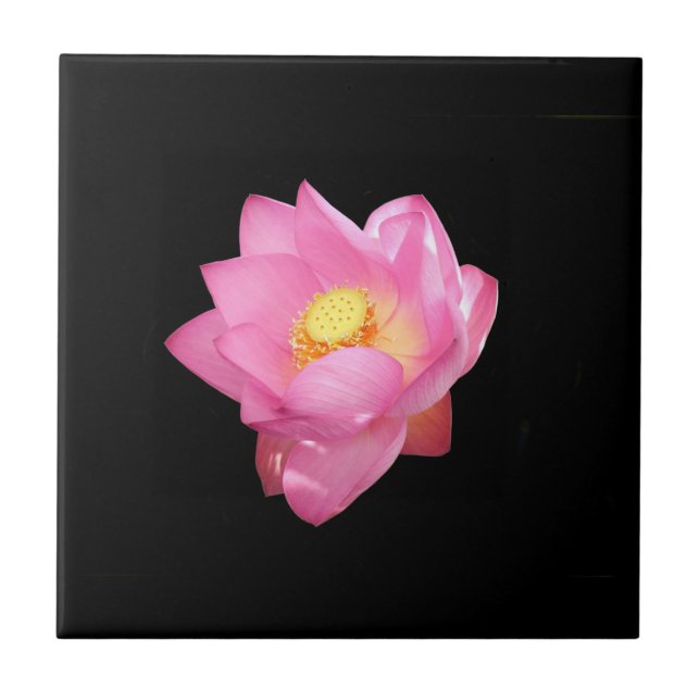 Vatten Lily Ceramic Tile Kakelplatta (Framsidan)