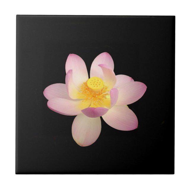 Vatten Lily Ceramic Tile Kakelplatta (Framsidan)