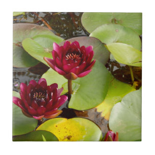 Vatten Lily Ceramic Tile Kakelplatta