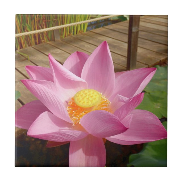 Vatten Lily Ceramic Tile Kakelplatta (Framsidan)