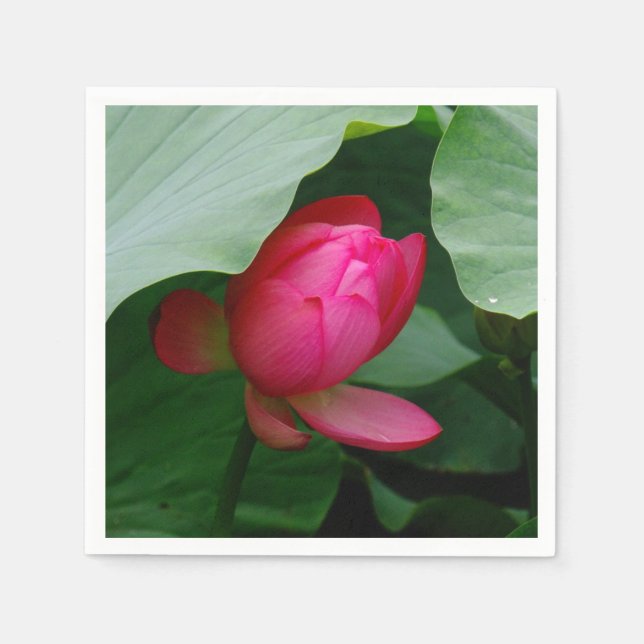 Vatten Lily Deep Ro Pappersservett (Framsidan)