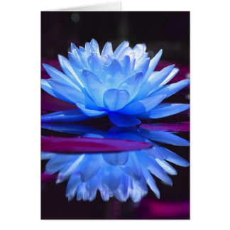 Vatten Lily Dream Hälsningskort