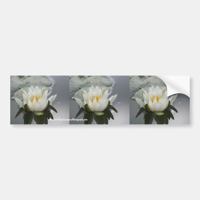 Vatten Lily Flower Bumper Sticker Car Art Bildekal (Framsidan)