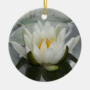 Vatten Lily Flower Ornament