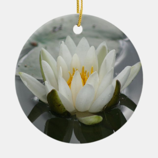 Vatten Lily Flower Ornament (Framsidan)