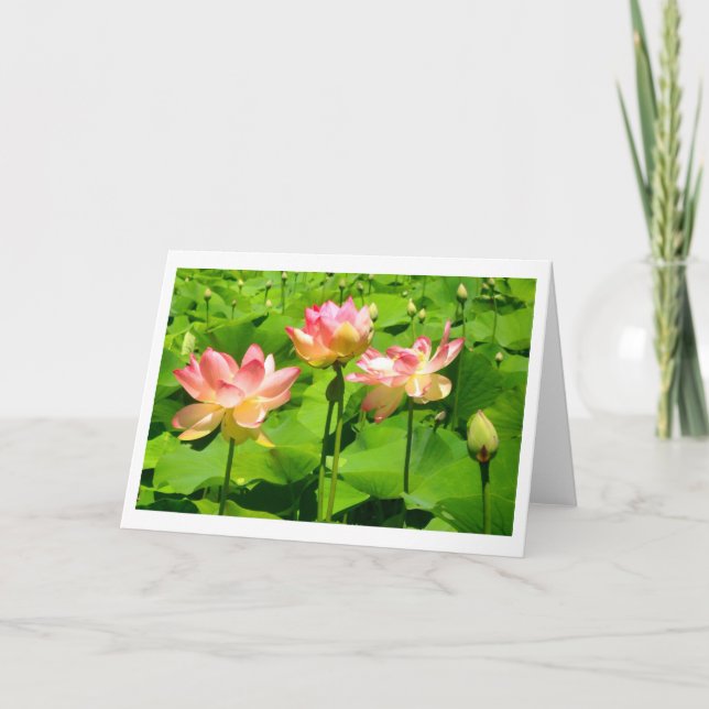 Vatten Lily Greeting Card Kort (Framsida)